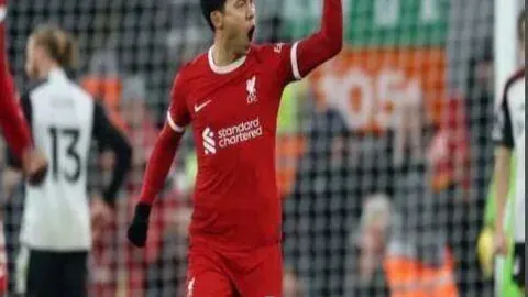 萨巴伦卡挺进澳网女单半决赛